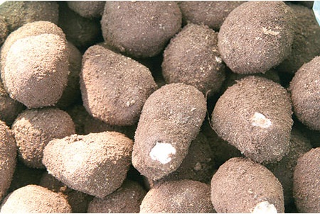 الترفاس أو الفقع من أغلى المواد الغذائية في العالم