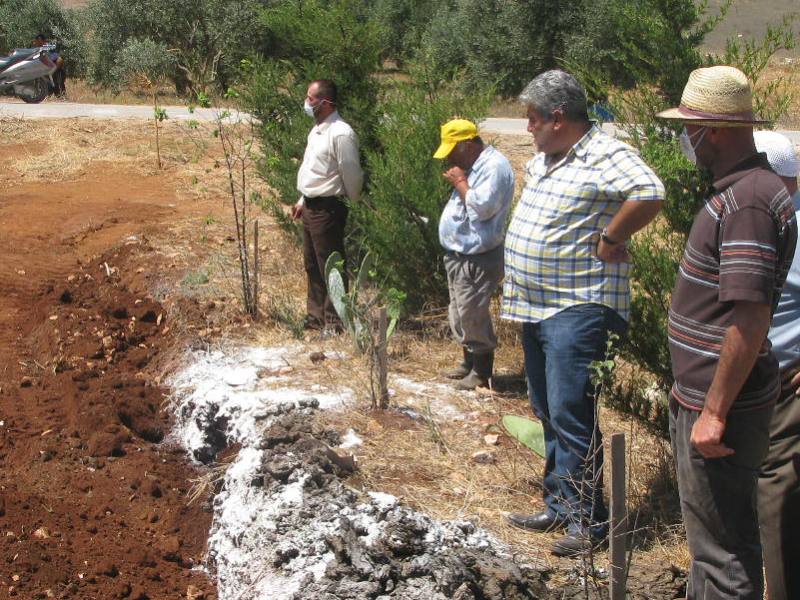 المهندس محمد عبدالله، نائب رئيس بلدية الخيام يتابع  عملية إزالة البقر الميت وطمره