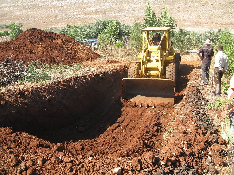 قامت وزارة الزراعة بالتعاون مع بلدية الخيام بإزالة البقر الميت وطمره