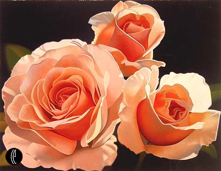 ثلاث وردات نبتت في حديقة عمري.. أضأن حياتي نوراًُ !