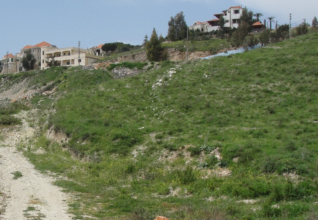 خذني.. زرعني بأرض الخيام