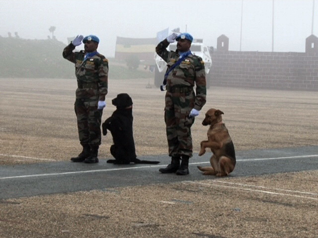 وعروض شيقة للكلب \