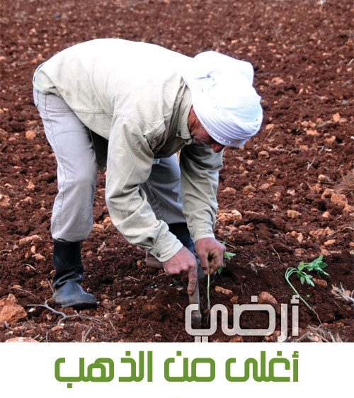 لبّيك يا موت إننا جنوبيون