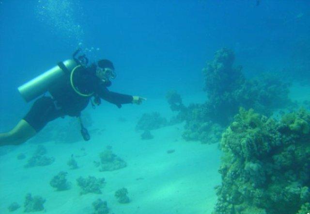 روائـع بحـر صـور