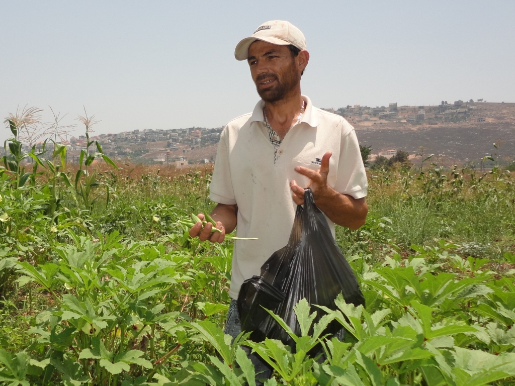 الخيام بحاجة لنا جميعاً: السيد جمعة.. جذوره راسخة في أرض مرج الخيام