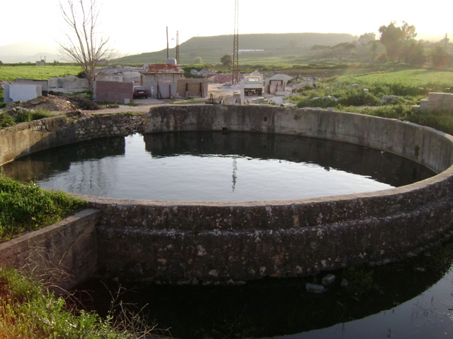 نبع الحمّام  الذي فاض بدوره كقرص شمس مائي استدار رقصاً وطرباً برطوبة المياه وأعذبها  - تصوير باسل غريب نيسان 2010