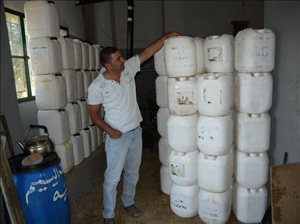 زيت زيتون بكر مكدس في براميل