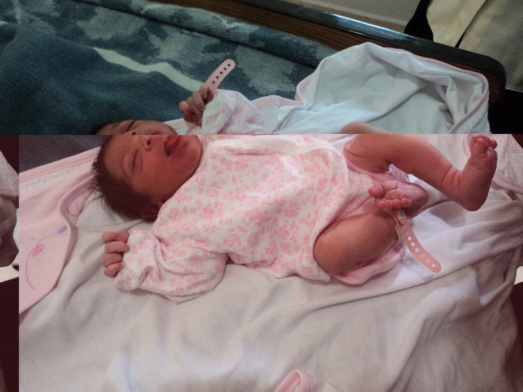 أميرة علي كامل أبو عباس