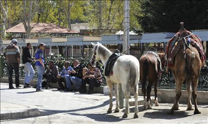 تحرص بلدية المدينة وفعالياتها على عدم تضخيم الحوادث الأمنية كي لا تؤثر في السياحة