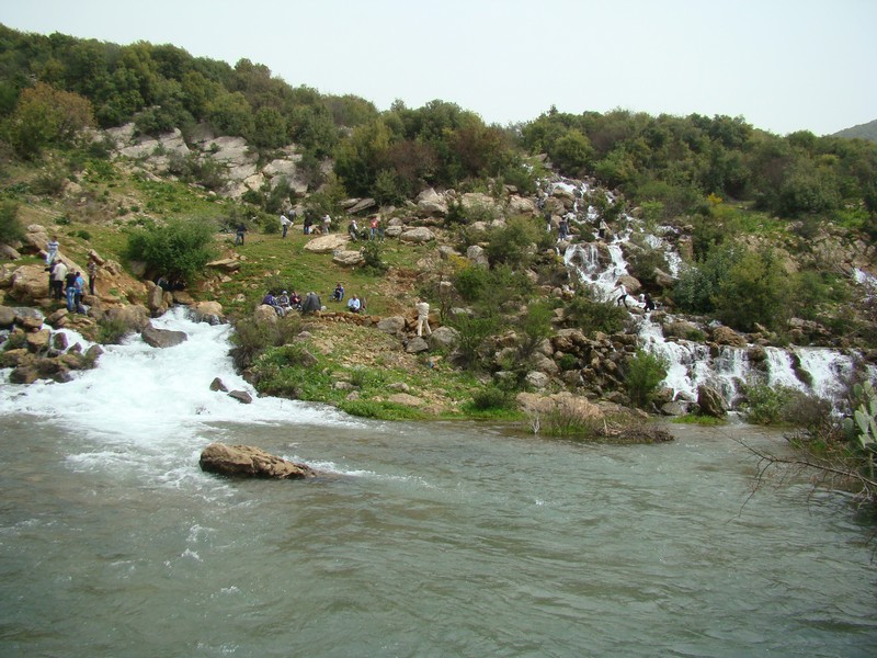 نبع سريد فاض خيراً وجذب شباباً