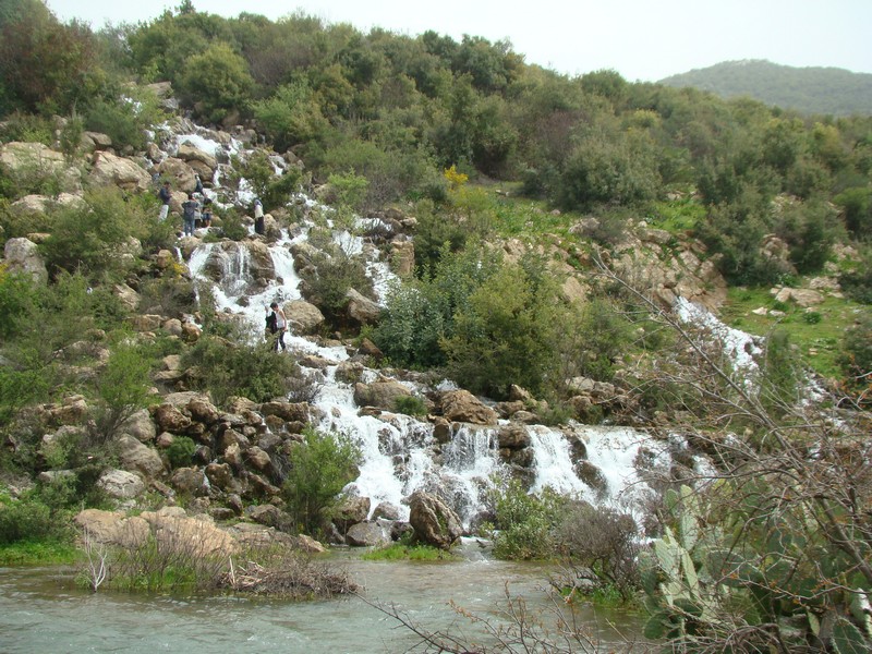 نبع سريد فاض خيراً وجذب شباباً