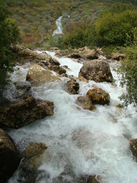 نبع سريد فاض خيراً وجذب شباباً