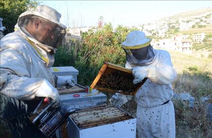 يأملون بزيادة الإنتاجية وفق شروط أوروبية