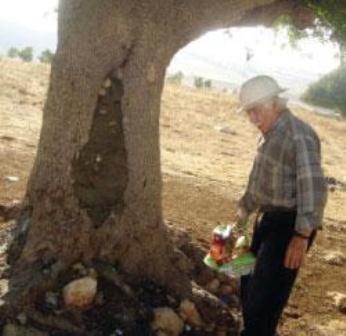 عام 1979 بدأ أستاذ المدرسة أوّل عملية تشجير (الأخبار)