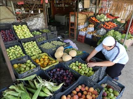 وحيد عند بسطة خضار ارتفعت أسعارها (طارق أبو حمدان)