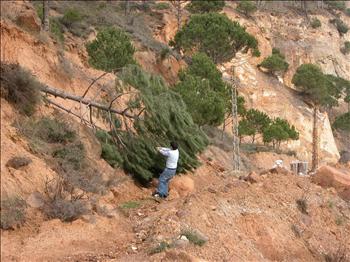 أضرار بيئية لإحدى المرامل