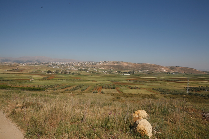 شبكات الرّي الحديثة لمياه الدردارة أنعشت زراعات المنطقة