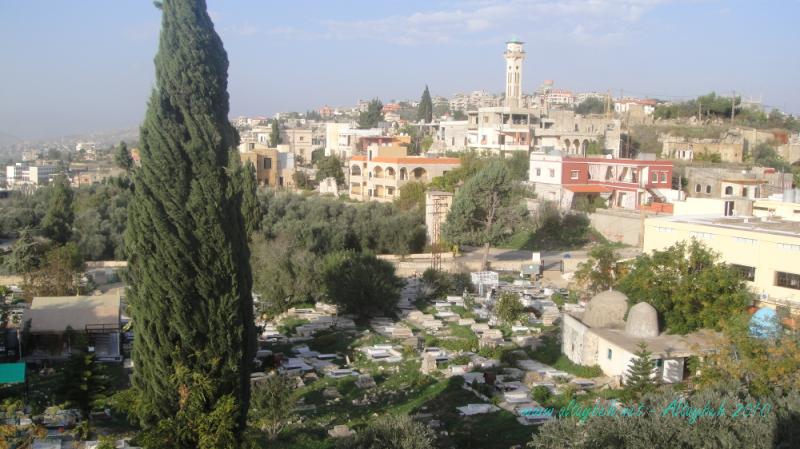 بلدة الطيبة