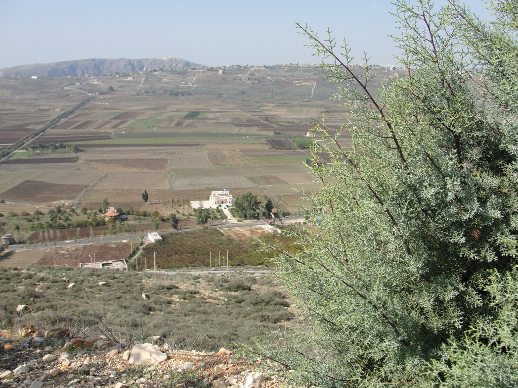 اكتب اليك بروح عاشق سكنته  الخيام