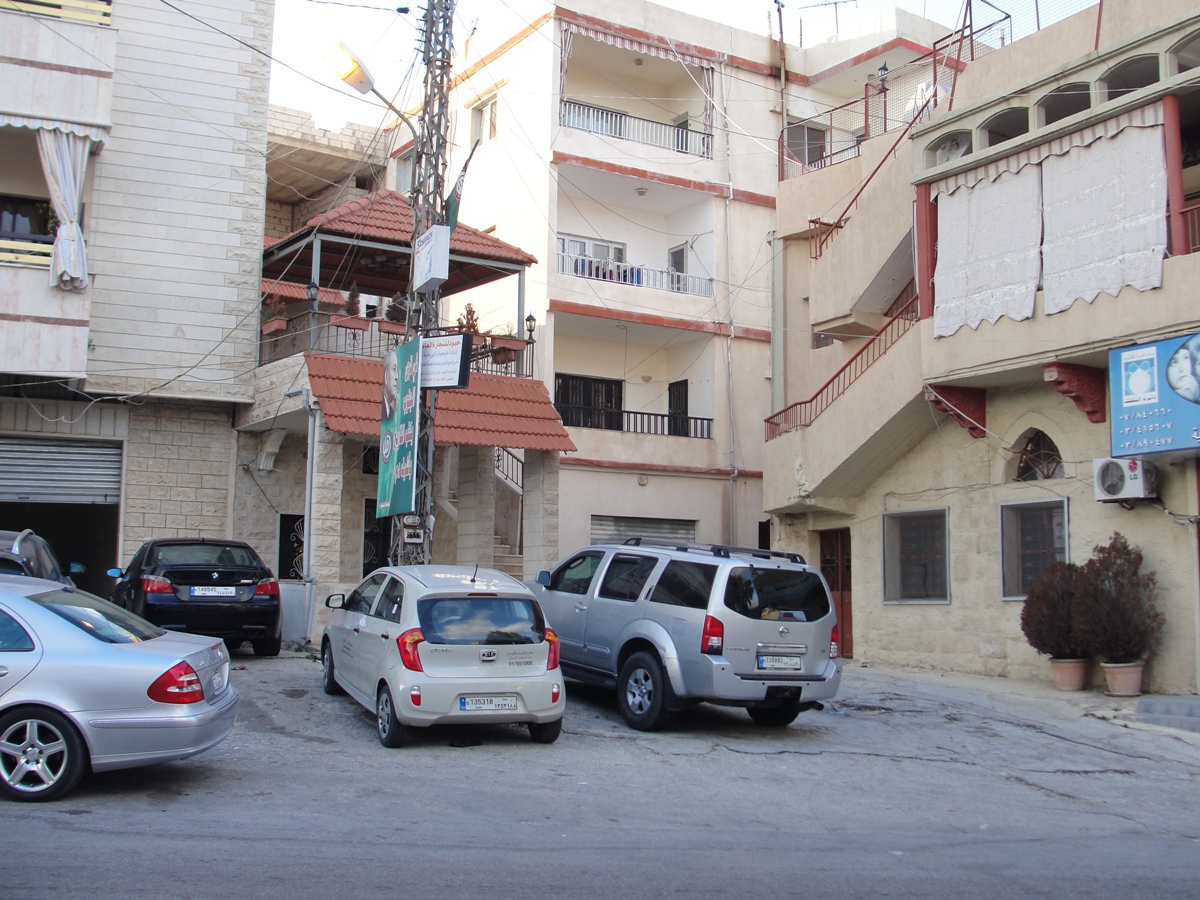 حيث كانت شجرة الميسة في الخيام