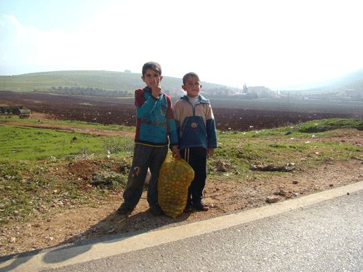 «بعورة»  البطاطا مصدر رزق الأطفال النازحين