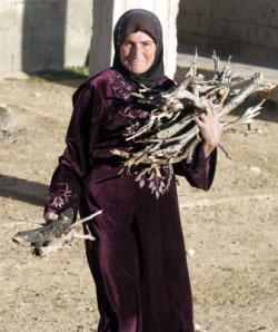 أقدم الأهالي على قطع أشجارهم المثمرة للتدفئة