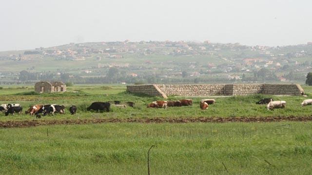 المطار الحربي الانكليزي في سهل الخيام بقي شاهداً على الحرب العالمية الثانية