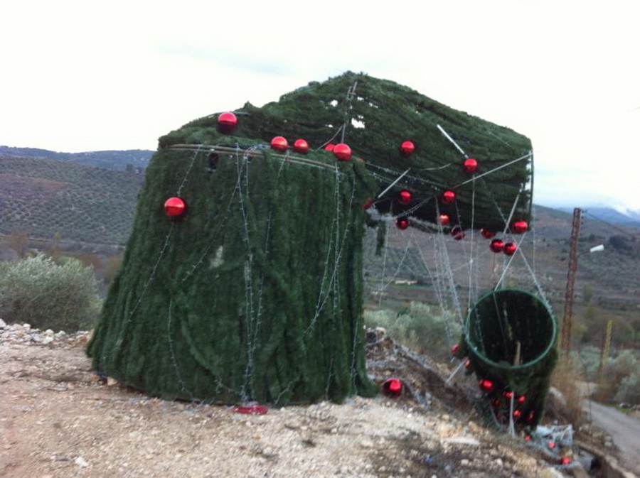 شجرة الميلاد في كوكبا اقتلعتها العاصفة