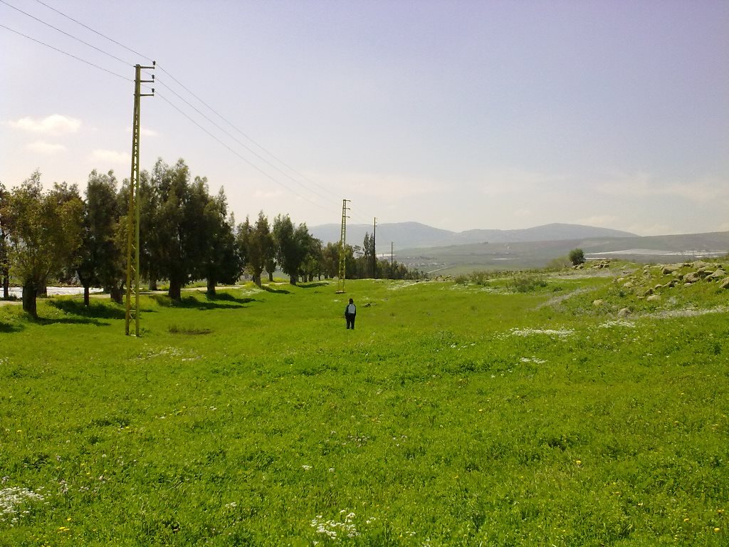 خرجنا الى زمن ليس لنا فيه اي شي.. نعيش فيه بسرعة هذا الزمن.