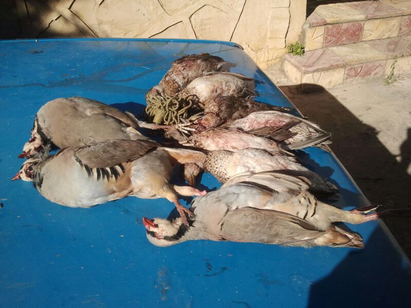 المختار علي رشيد.. يعرف كيف ومتى يصيب