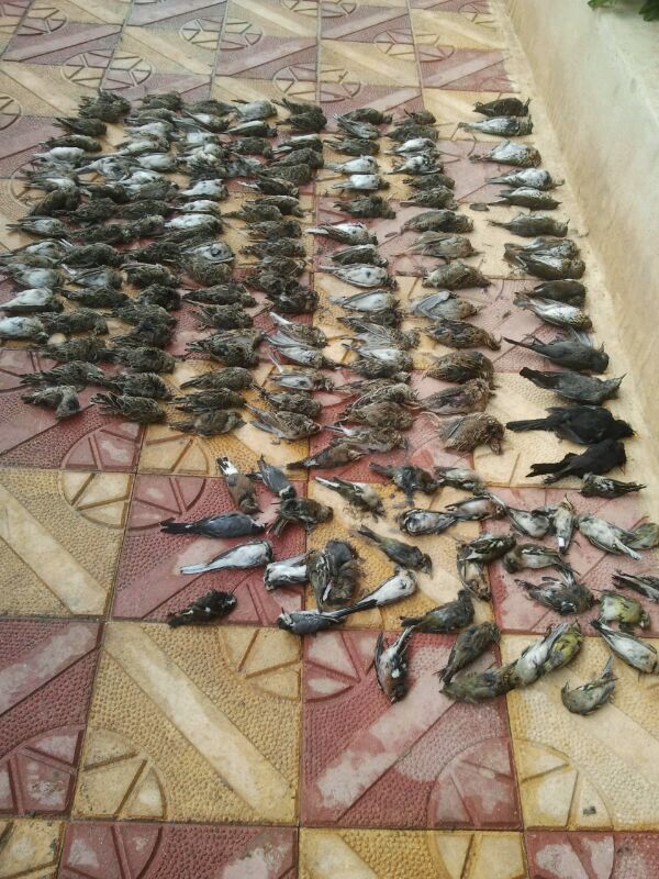 المختار علي رشيد.. يعرف كيف ومتى يصيب