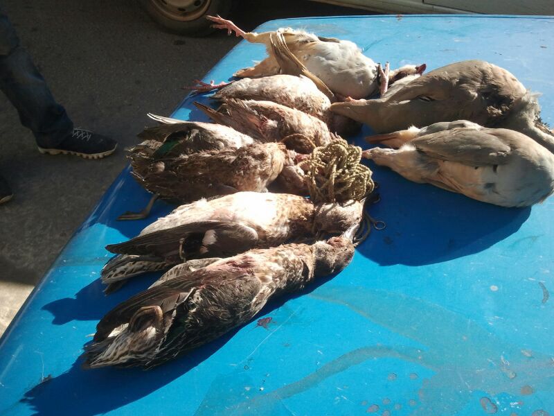 المختار علي رشيد.. يعرف كيف ومتى يصيب