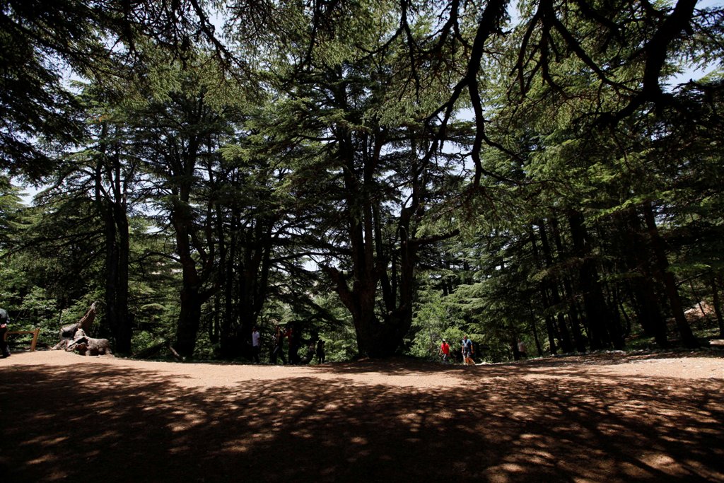 صورة لجمال السعيدي