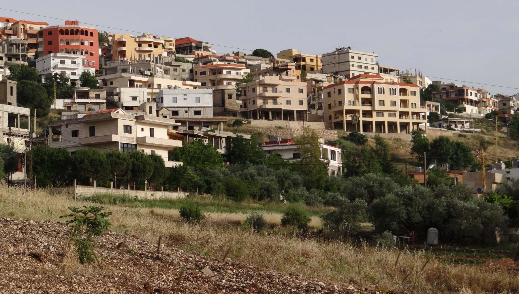 تحية من القلب الى ضيعتي