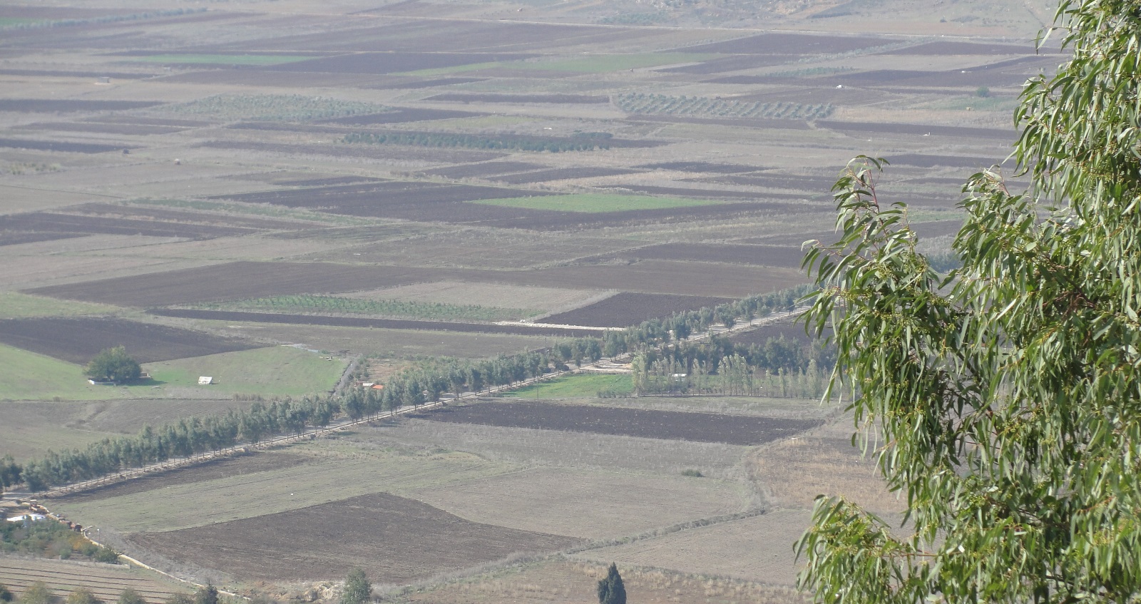 مشتاق للمرج والتين والسهرات عالدرداره
