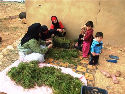 في سوريا كان اسمهم «اللبنانيين» ومع الأزمة تحولوا إلى «سنة وشيعة ومسيحيين وعلويين» (بومدين الساحلي)