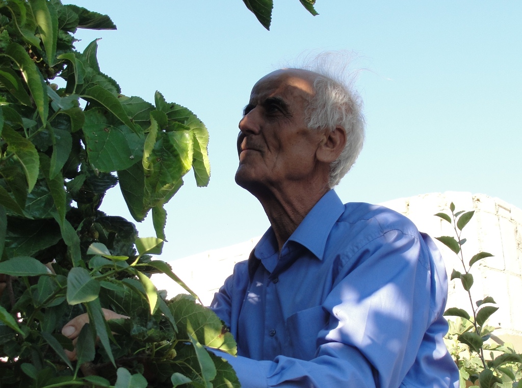 أبو حسين علي عبد الحسن مهدي