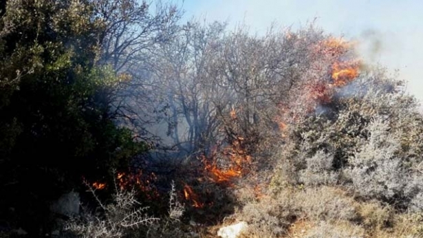 نيران في أحد احراج أكروم في عكار
