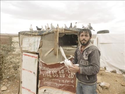 أبو نوارة أمام خيمة دواجنه في سهل إبل السقي (طارق ابو حمدان)