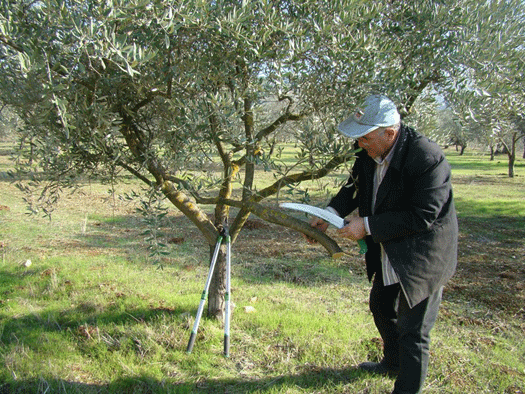 الحطب لــ المربعانية .. والبلاستيك إذا تعذّر