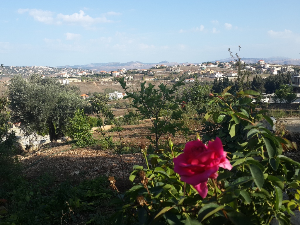 يُحكى عن قصة حبّ  في الخيام بين وردة الصيف وغيم الشِتاء