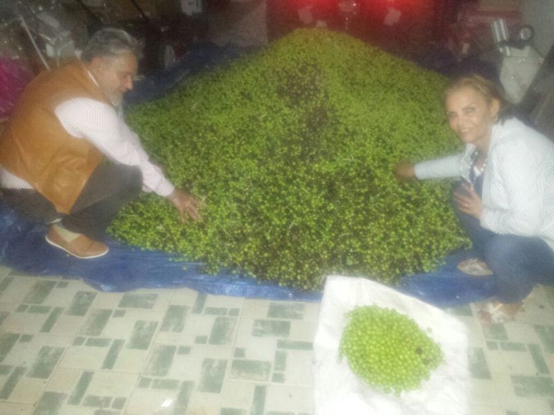 أبو عصام محمد الصفاوي، والسيدة عقيلته، يتمسكان بالكثير من العادات والتقاليد، بفضل الحبل السرّي، حيث يشاركان بقطاف الزيتون وبجني محصوله