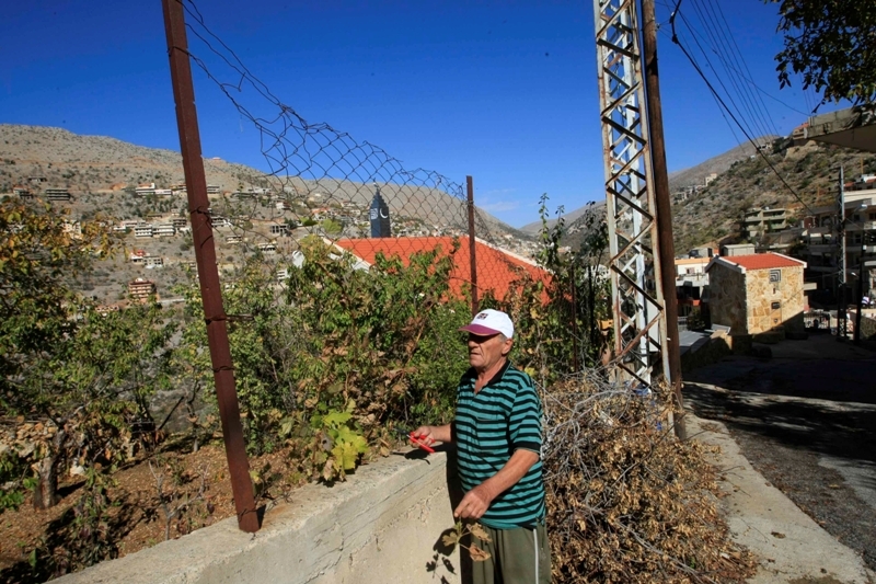 ابومحي الدين يقلم اشجاره