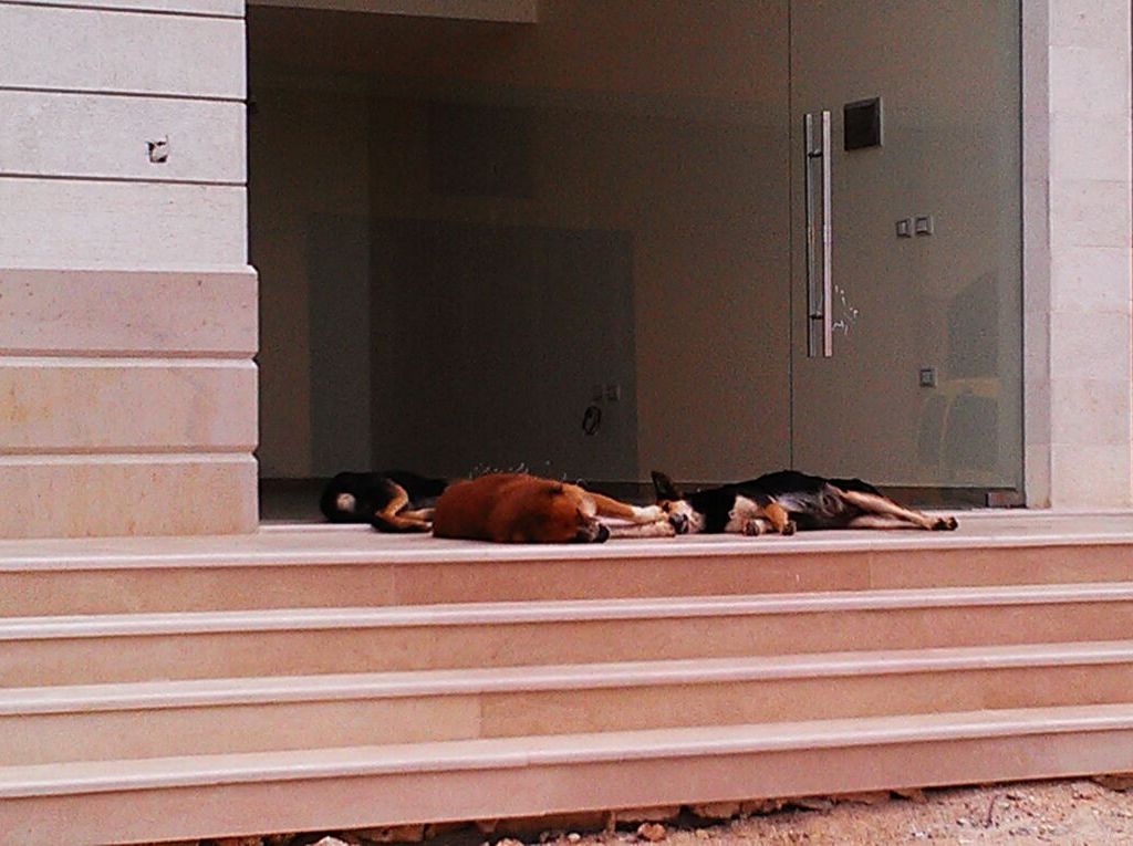 مشهد يومي يراه صباحاً كل من يمرّ أمام سنتر عطوي