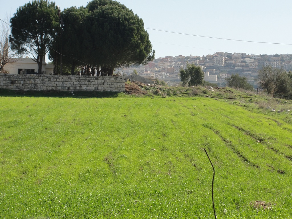 جنَّتي، فيها قرىً، أختار إحداها أسميها الخيامْ.