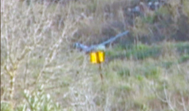 العدو يجتاز التقني قبالة ميس الجبل لانتشال طائرة استطلاع حيث سقطت