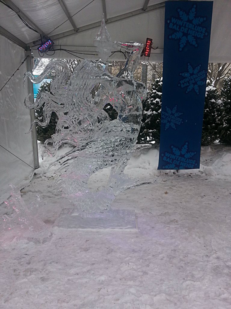  تبدو مدينة أوتاوا الكنديّة من بين مدن العالم الافضل في الشتاء