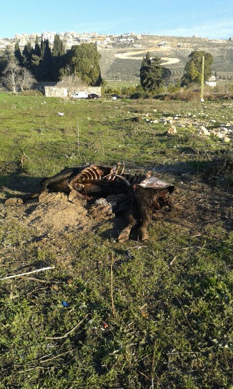 جريمة بيئية ضحيتها أرض مرج الخيام