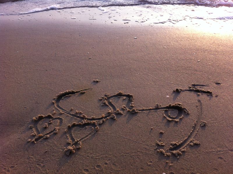 أمي.. لك الرحمة مولاتي، أنت تاج رأسي وساكنة قلبي ومنبع حياتي