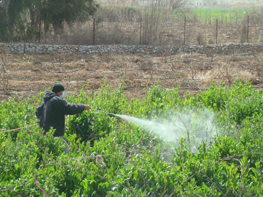 تحدي العناية بالأرض.. رغم انحباس المطر هذا العام الذي لم تشهد له المنطقة مثيلا